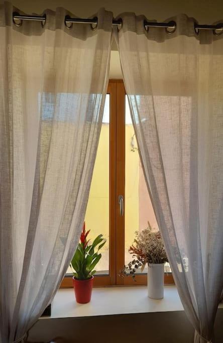 Apartament "Maison Du Consul" Avec Terrasse - Centre Historique Narbona Zewnętrze zdjęcie