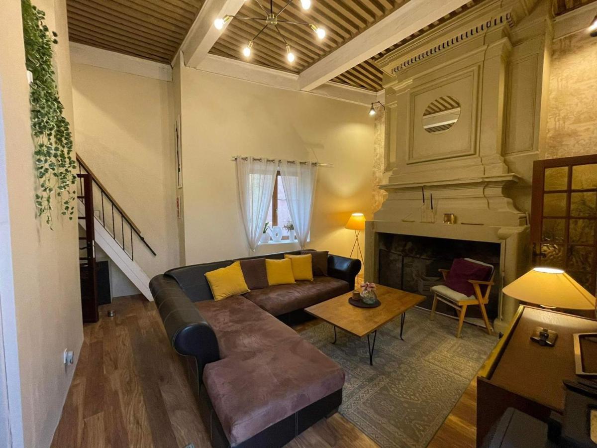Apartament "Maison Du Consul" Avec Terrasse - Centre Historique Narbona Zewnętrze zdjęcie
